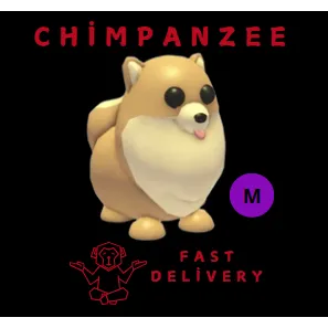 POMERANIAN MEGA