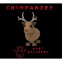 REINDEER 