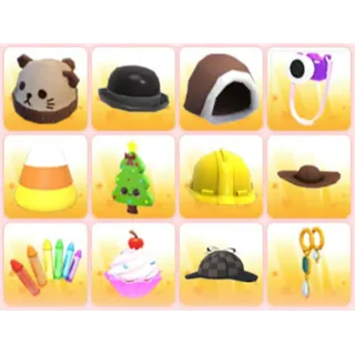 BUNDLE PET WEAR X12