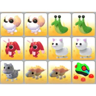 BUNDLE PET X12