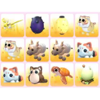 BUNDLE PET X12