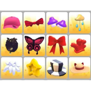 BUNDLE PET WEAR X12