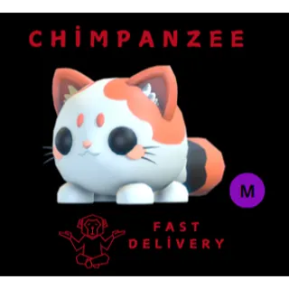 MOCHI MEOW MEGA