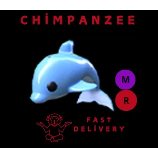 DOLPHIN MR