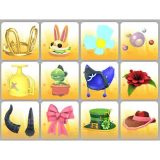 BUNDLE PET WEAR X12