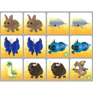 BUNDLE PET X12