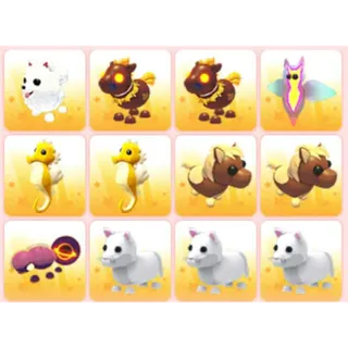 BUNDLE PET X12