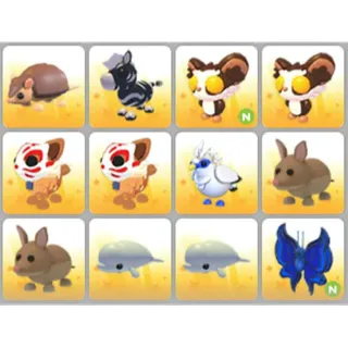 BUNDLE PET X12