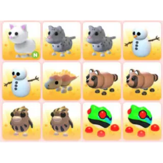 BUNDLE PET X12