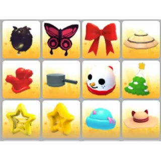 BUNDLE PET WEAR X12
