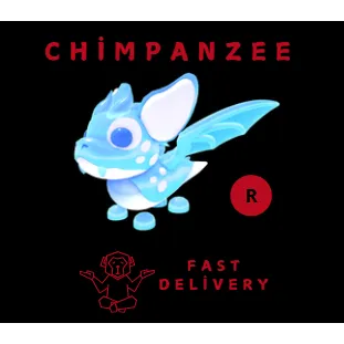 ARCTIC DUSK DRAGON R