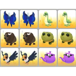 BUNDLE PET X12