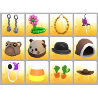 BUNDLE PET WEAR X12