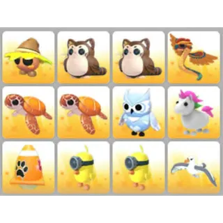 BUNDLE PET X12
