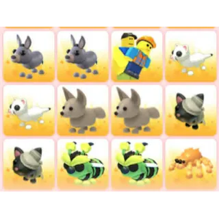 BUNDLE PET X12