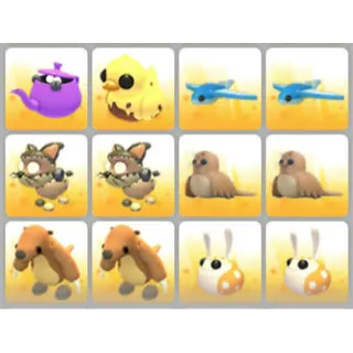 BUNDLE PET X12