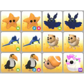 BUNDLE PET X12