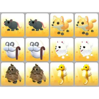 BUNDLE PET X12