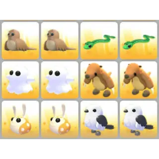 BUNDLE PET X12