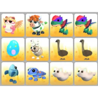 BUNDLE PET X12