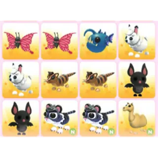 BUNDLE PET X12