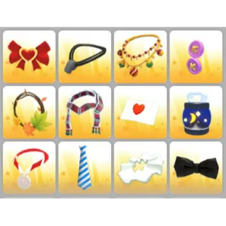 BUNDLE PET WEAR X12