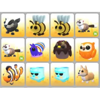 BUNDLE PET X12