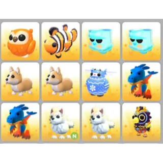 BUNDLE PET X12