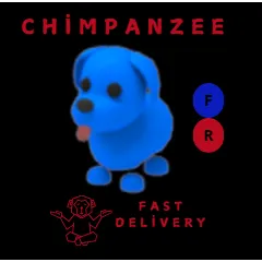 BLUE DOG FR