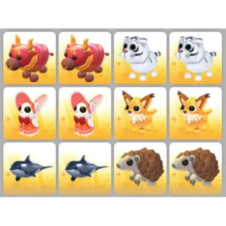 BUNDLE PET X12
