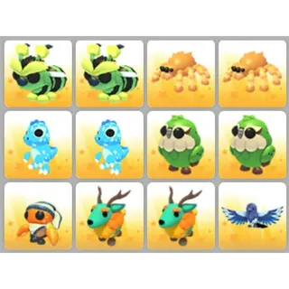 BUNDLE PET X12