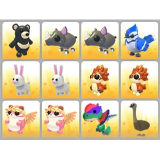 BUNDLE PET X12