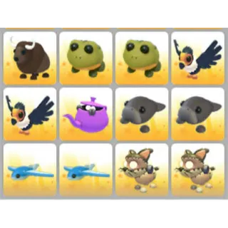 BUNDLE PET X12