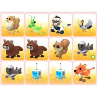 BUNDLE PET X12