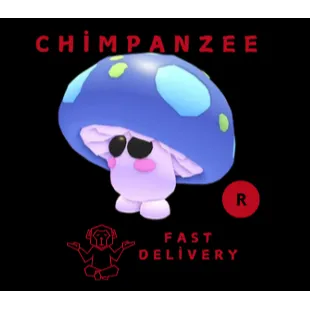 R Mushroom Friend