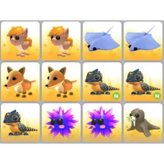 BUNDLE PET X12
