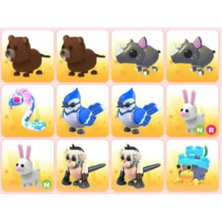 BUNDLE PET X12