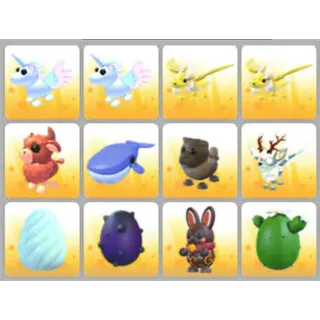BUNDLE PET X12