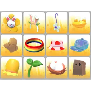 BUNDLE PET WEAR X12