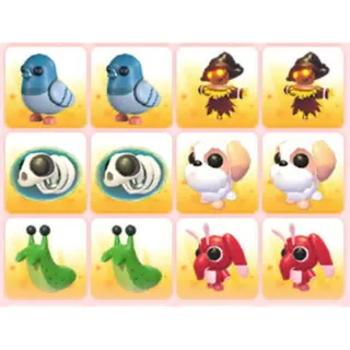 BUNDLE PET X12