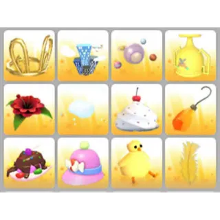 BUNDLE PET WEAR X12