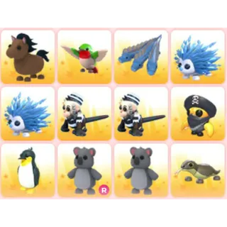 BUNDLE PET X12