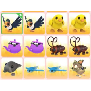 BUNDLE PET X12