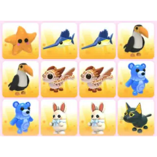 BUNDLE PET X12
