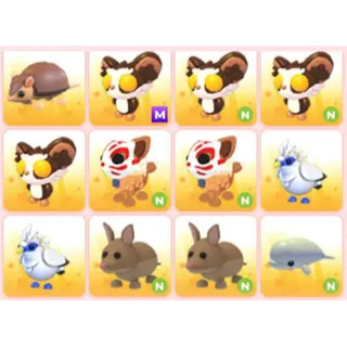 BUNDLE PET X12