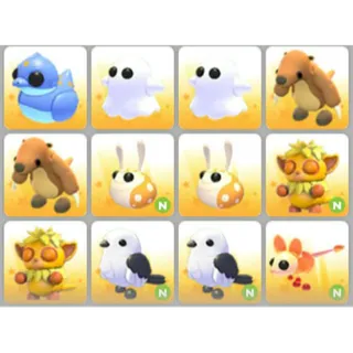 BUNDLE PET X12