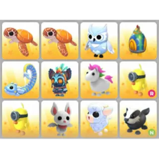 BUNDLE PET X12