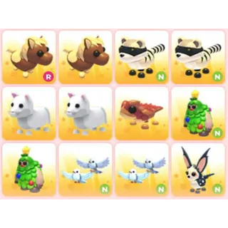 BUNDLE PET X12