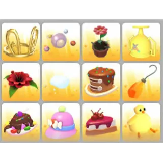 BUNDLE PET WEAR X12