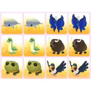BUNDLE PET X12